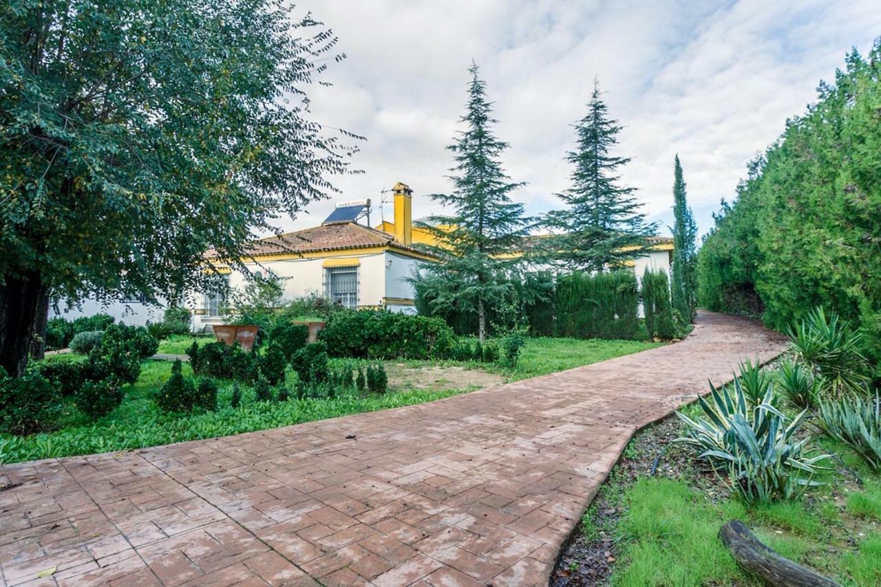 Casa Elizabeth Leilighet Palomares del Río Eksteriør bilde